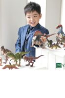 隼磨（はゆま）くん４歳お誕生日おめでとう！大好きな恐竜と一緒に！