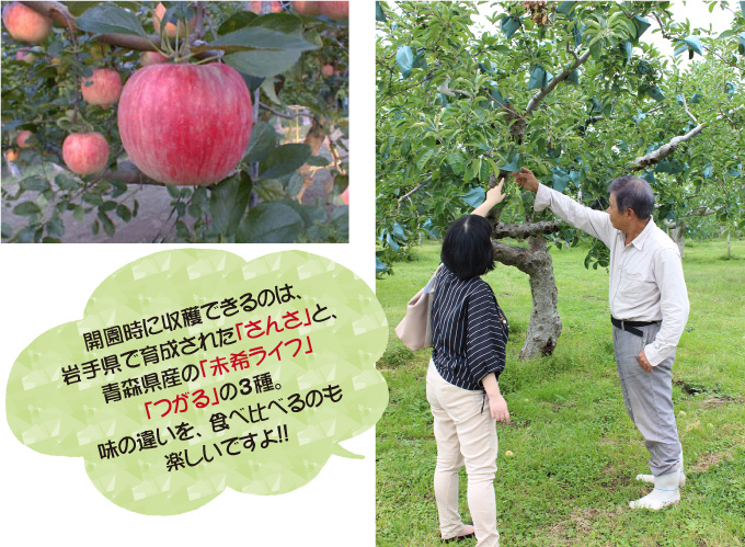 美味しい食べ物と自然がいっぱい！　小林市特集-北生駒高原りんご園